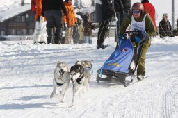 Lenk 2012 SM